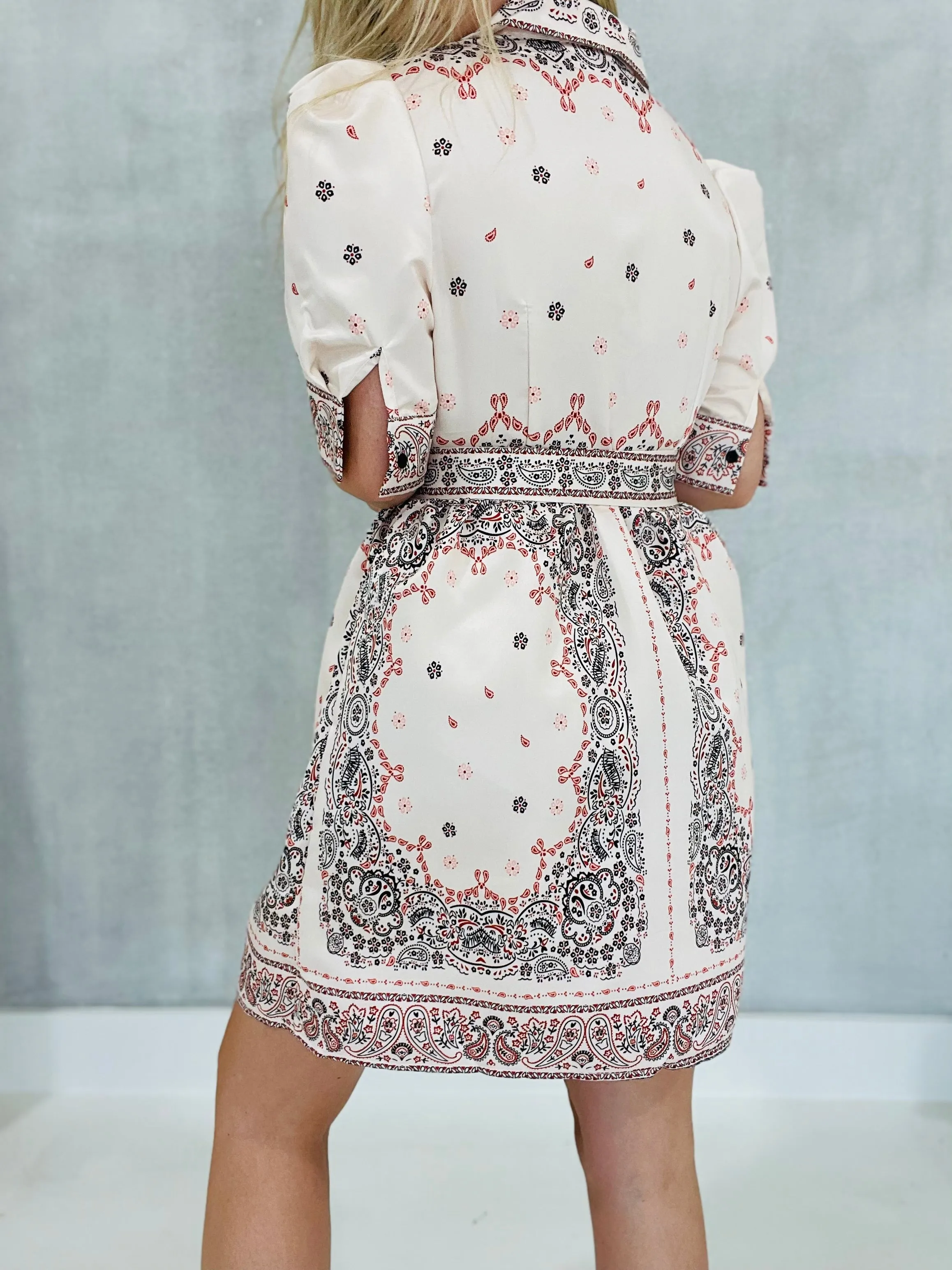 Needless To Say Dress