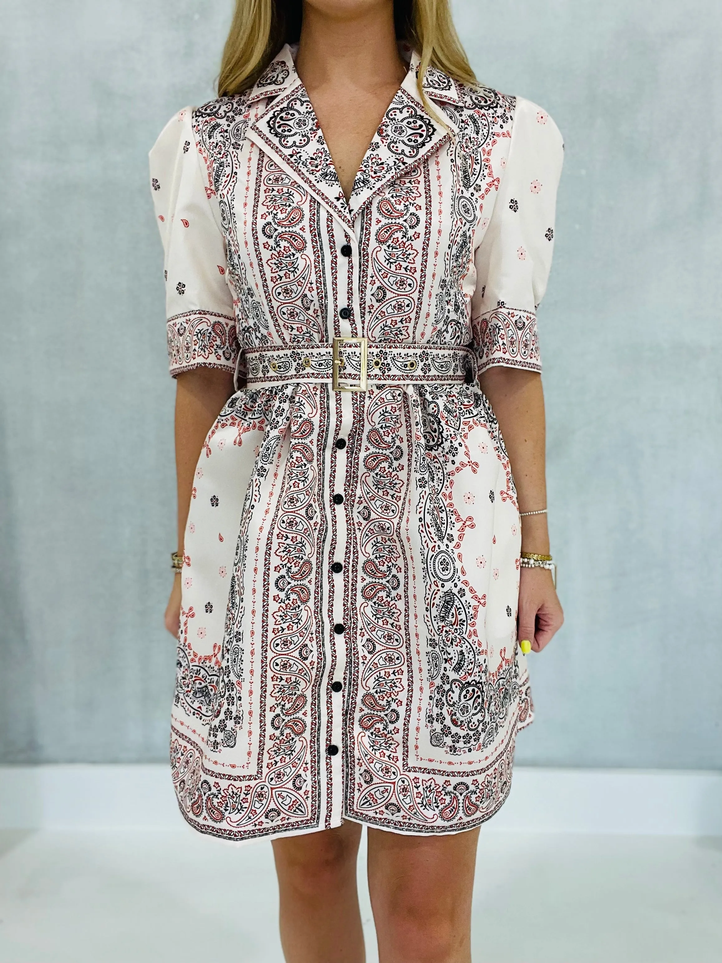 Needless To Say Dress